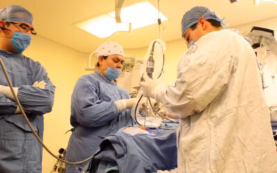 Abordaje y resección endoscópica de microadenoma de hipófisis