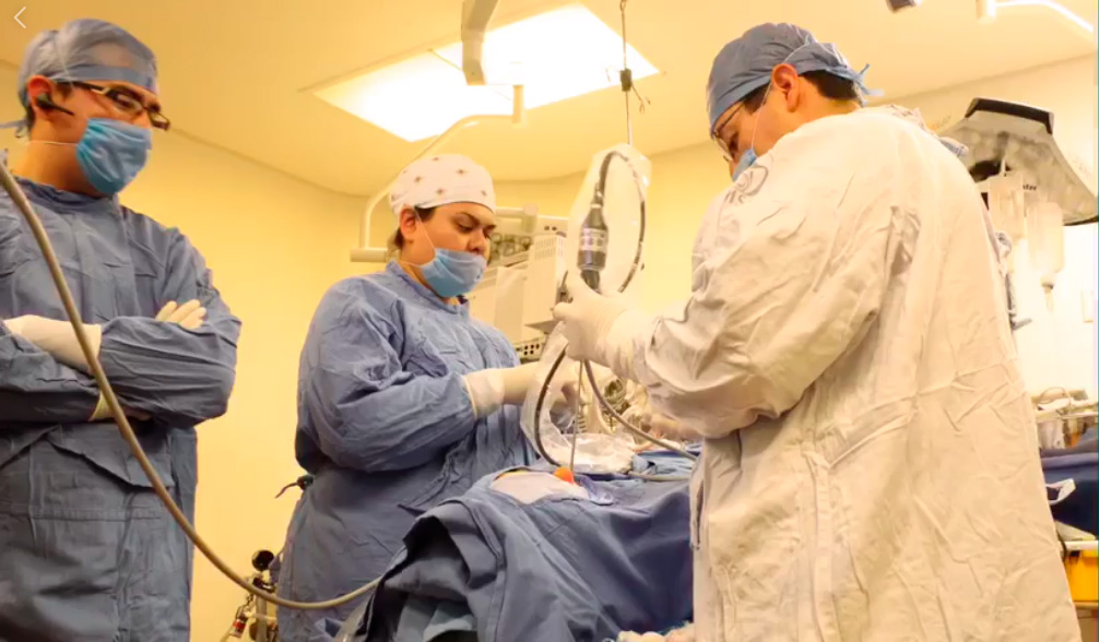 Abordaje y resección endoscópica de microadenoma de hipófisis